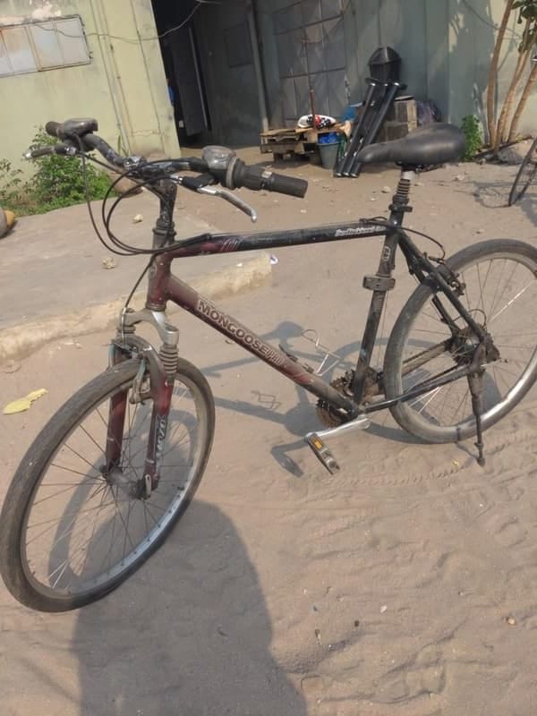 Mongoose