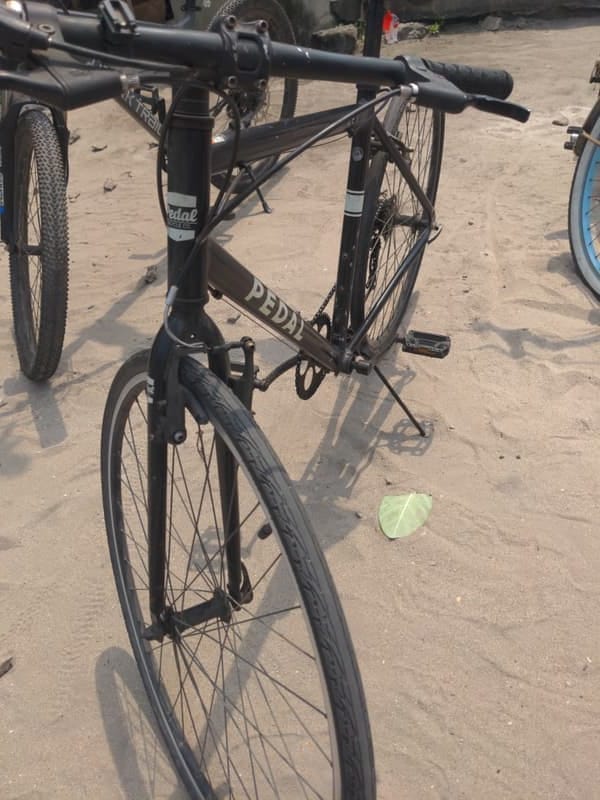 Pedal