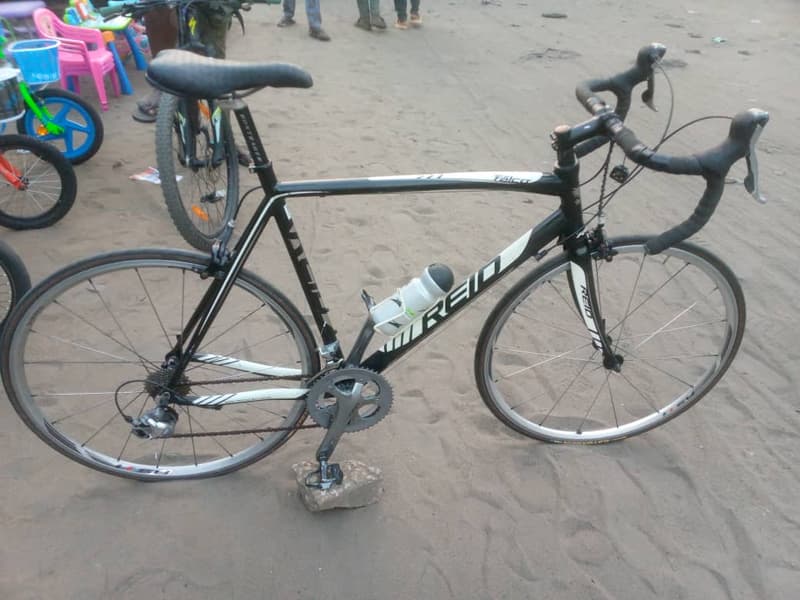 Reid Falco - miniature 2