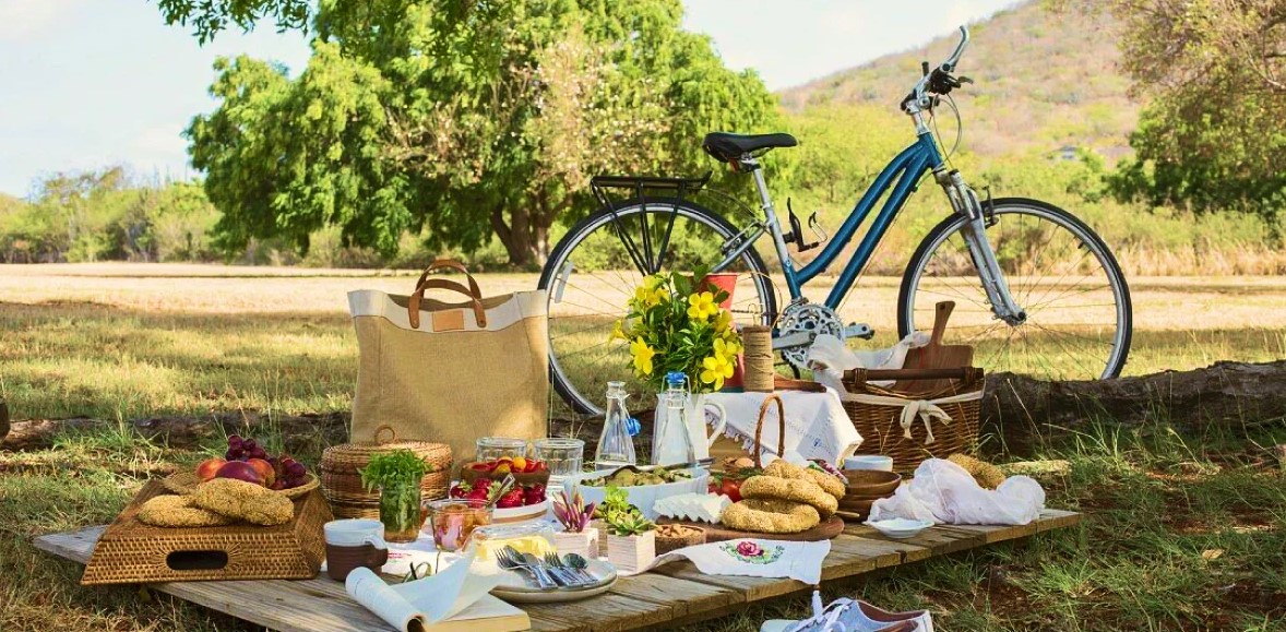 Image de couverture pour Vélo Picnic